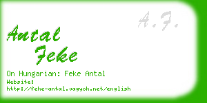 antal feke business card